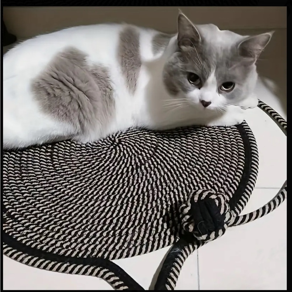 Cat scratching pad with toy, pet supplies